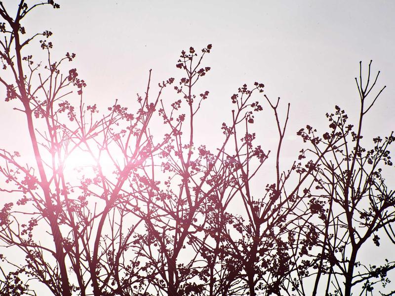 sudoku learning tool screenshot 4